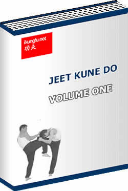 bruce lee jeet kune do book pdf free